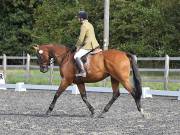 Image 115 in OPTIMUM EVENT MANAGEMENT. DRESSAGE AT GROVE HOUSE FARM. 9th SEPTEMBER 2018
