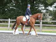 Image 117 in OPTIMUM EVENT MANAGEMENT. DRESSAGE AT GROVE HOUSE FARM. 9th SEPTEMBER 2018