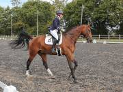 Image 119 in OPTIMUM EVENT MANAGEMENT. DRESSAGE AT GROVE HOUSE FARM. 9th SEPTEMBER 2018