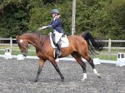 Image 121 in OPTIMUM EVENT MANAGEMENT. DRESSAGE AT GROVE HOUSE FARM. 9th SEPTEMBER 2018
