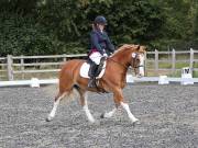 Image 122 in OPTIMUM EVENT MANAGEMENT. DRESSAGE AT GROVE HOUSE FARM. 9th SEPTEMBER 2018