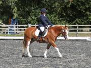 Image 123 in OPTIMUM EVENT MANAGEMENT. DRESSAGE AT GROVE HOUSE FARM. 9th SEPTEMBER 2018