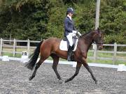 Image 124 in OPTIMUM EVENT MANAGEMENT. DRESSAGE AT GROVE HOUSE FARM. 9th SEPTEMBER 2018