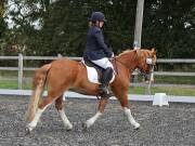 Image 126 in OPTIMUM EVENT MANAGEMENT. DRESSAGE AT GROVE HOUSE FARM. 9th SEPTEMBER 2018