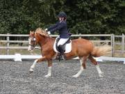 Image 127 in OPTIMUM EVENT MANAGEMENT. DRESSAGE AT GROVE HOUSE FARM. 9th SEPTEMBER 2018