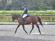 Image 13 in OPTIMUM EVENT MANAGEMENT. DRESSAGE AT GROVE HOUSE FARM. 9th SEPTEMBER 2018