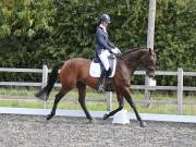 Image 130 in OPTIMUM EVENT MANAGEMENT. DRESSAGE AT GROVE HOUSE FARM. 9th SEPTEMBER 2018