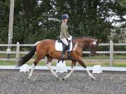 Image 131 in OPTIMUM EVENT MANAGEMENT. DRESSAGE AT GROVE HOUSE FARM. 9th SEPTEMBER 2018