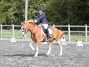 Image 132 in OPTIMUM EVENT MANAGEMENT. DRESSAGE AT GROVE HOUSE FARM. 9th SEPTEMBER 2018
