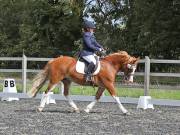 Image 133 in OPTIMUM EVENT MANAGEMENT. DRESSAGE AT GROVE HOUSE FARM. 9th SEPTEMBER 2018