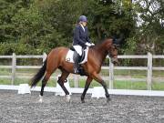 Image 134 in OPTIMUM EVENT MANAGEMENT. DRESSAGE AT GROVE HOUSE FARM. 9th SEPTEMBER 2018