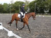 Image 135 in OPTIMUM EVENT MANAGEMENT. DRESSAGE AT GROVE HOUSE FARM. 9th SEPTEMBER 2018