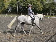 Image 140 in OPTIMUM EVENT MANAGEMENT. DRESSAGE AT GROVE HOUSE FARM. 9th SEPTEMBER 2018