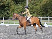 Image 141 in OPTIMUM EVENT MANAGEMENT. DRESSAGE AT GROVE HOUSE FARM. 9th SEPTEMBER 2018