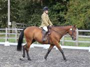 Image 142 in OPTIMUM EVENT MANAGEMENT. DRESSAGE AT GROVE HOUSE FARM. 9th SEPTEMBER 2018