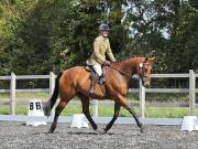 Image 143 in OPTIMUM EVENT MANAGEMENT. DRESSAGE AT GROVE HOUSE FARM. 9th SEPTEMBER 2018
