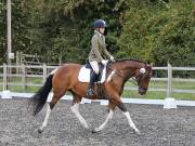 Image 144 in OPTIMUM EVENT MANAGEMENT. DRESSAGE AT GROVE HOUSE FARM. 9th SEPTEMBER 2018
