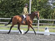 Image 145 in OPTIMUM EVENT MANAGEMENT. DRESSAGE AT GROVE HOUSE FARM. 9th SEPTEMBER 2018