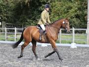 Image 146 in OPTIMUM EVENT MANAGEMENT. DRESSAGE AT GROVE HOUSE FARM. 9th SEPTEMBER 2018