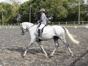 Image 147 in OPTIMUM EVENT MANAGEMENT. DRESSAGE AT GROVE HOUSE FARM. 9th SEPTEMBER 2018