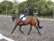 Image 149 in OPTIMUM EVENT MANAGEMENT. DRESSAGE AT GROVE HOUSE FARM. 9th SEPTEMBER 2018