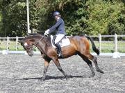 Image 153 in OPTIMUM EVENT MANAGEMENT. DRESSAGE AT GROVE HOUSE FARM. 9th SEPTEMBER 2018