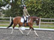 Image 157 in OPTIMUM EVENT MANAGEMENT. DRESSAGE AT GROVE HOUSE FARM. 9th SEPTEMBER 2018