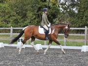 Image 159 in OPTIMUM EVENT MANAGEMENT. DRESSAGE AT GROVE HOUSE FARM. 9th SEPTEMBER 2018