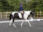 Image 16 in OPTIMUM EVENT MANAGEMENT. DRESSAGE AT GROVE HOUSE FARM. 9th SEPTEMBER 2018