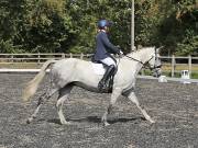 Image 162 in OPTIMUM EVENT MANAGEMENT. DRESSAGE AT GROVE HOUSE FARM. 9th SEPTEMBER 2018