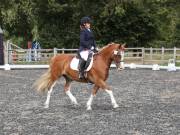 Image 164 in OPTIMUM EVENT MANAGEMENT. DRESSAGE AT GROVE HOUSE FARM. 9th SEPTEMBER 2018