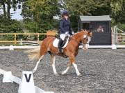 Image 165 in OPTIMUM EVENT MANAGEMENT. DRESSAGE AT GROVE HOUSE FARM. 9th SEPTEMBER 2018