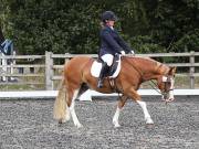 Image 167 in OPTIMUM EVENT MANAGEMENT. DRESSAGE AT GROVE HOUSE FARM. 9th SEPTEMBER 2018