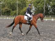 Image 168 in OPTIMUM EVENT MANAGEMENT. DRESSAGE AT GROVE HOUSE FARM. 9th SEPTEMBER 2018