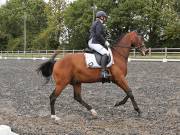 Image 170 in OPTIMUM EVENT MANAGEMENT. DRESSAGE AT GROVE HOUSE FARM. 9th SEPTEMBER 2018