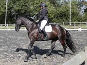 Image 173 in OPTIMUM EVENT MANAGEMENT. DRESSAGE AT GROVE HOUSE FARM. 9th SEPTEMBER 2018