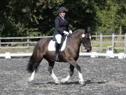 Image 177 in OPTIMUM EVENT MANAGEMENT. DRESSAGE AT GROVE HOUSE FARM. 9th SEPTEMBER 2018