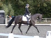 Image 18 in OPTIMUM EVENT MANAGEMENT. DRESSAGE AT GROVE HOUSE FARM. 9th SEPTEMBER 2018