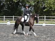Image 181 in OPTIMUM EVENT MANAGEMENT. DRESSAGE AT GROVE HOUSE FARM. 9th SEPTEMBER 2018