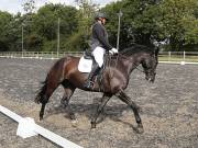 Image 186 in OPTIMUM EVENT MANAGEMENT. DRESSAGE AT GROVE HOUSE FARM. 9th SEPTEMBER 2018