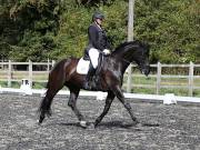 Image 187 in OPTIMUM EVENT MANAGEMENT. DRESSAGE AT GROVE HOUSE FARM. 9th SEPTEMBER 2018