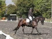 Image 189 in OPTIMUM EVENT MANAGEMENT. DRESSAGE AT GROVE HOUSE FARM. 9th SEPTEMBER 2018