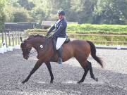 Image 19 in OPTIMUM EVENT MANAGEMENT. DRESSAGE AT GROVE HOUSE FARM. 9th SEPTEMBER 2018