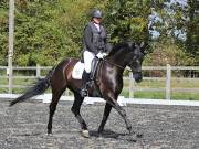 Image 196 in OPTIMUM EVENT MANAGEMENT. DRESSAGE AT GROVE HOUSE FARM. 9th SEPTEMBER 2018