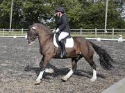 Image 202 in OPTIMUM EVENT MANAGEMENT. DRESSAGE AT GROVE HOUSE FARM. 9th SEPTEMBER 2018
