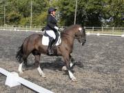 Image 203 in OPTIMUM EVENT MANAGEMENT. DRESSAGE AT GROVE HOUSE FARM. 9th SEPTEMBER 2018