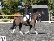 Image 205 in OPTIMUM EVENT MANAGEMENT. DRESSAGE AT GROVE HOUSE FARM. 9th SEPTEMBER 2018