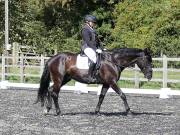 Image 206 in OPTIMUM EVENT MANAGEMENT. DRESSAGE AT GROVE HOUSE FARM. 9th SEPTEMBER 2018