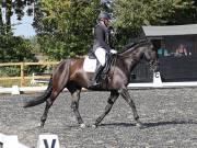Image 209 in OPTIMUM EVENT MANAGEMENT. DRESSAGE AT GROVE HOUSE FARM. 9th SEPTEMBER 2018