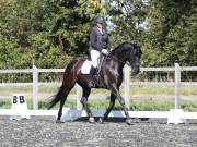 Image 210 in OPTIMUM EVENT MANAGEMENT. DRESSAGE AT GROVE HOUSE FARM. 9th SEPTEMBER 2018